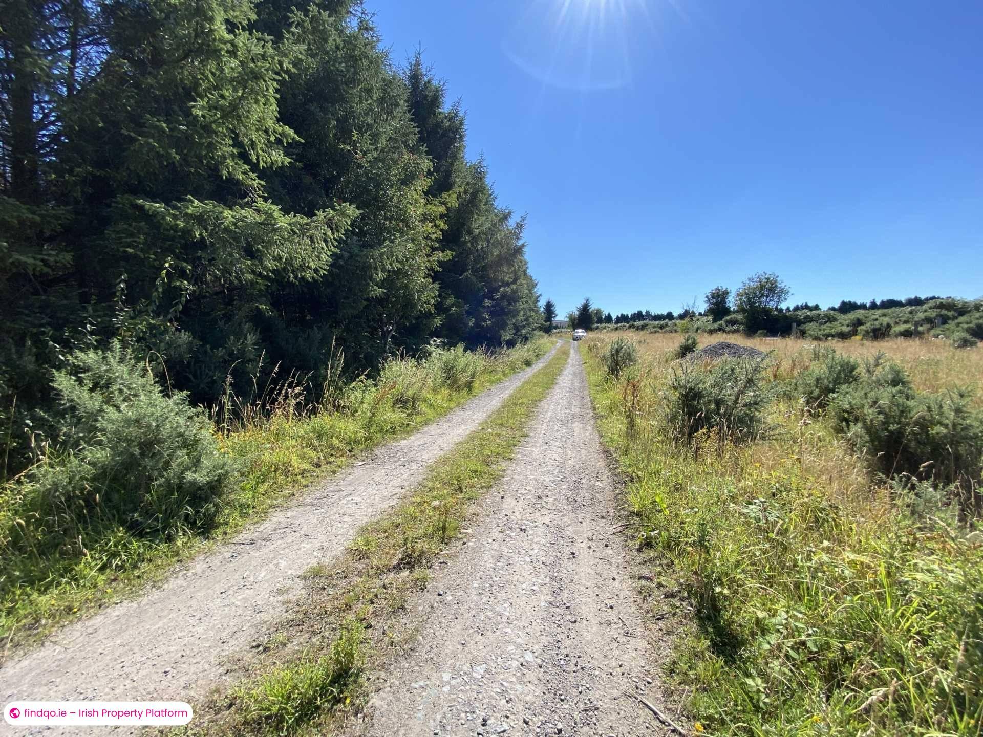 Site for Sale in Newcastle, Down