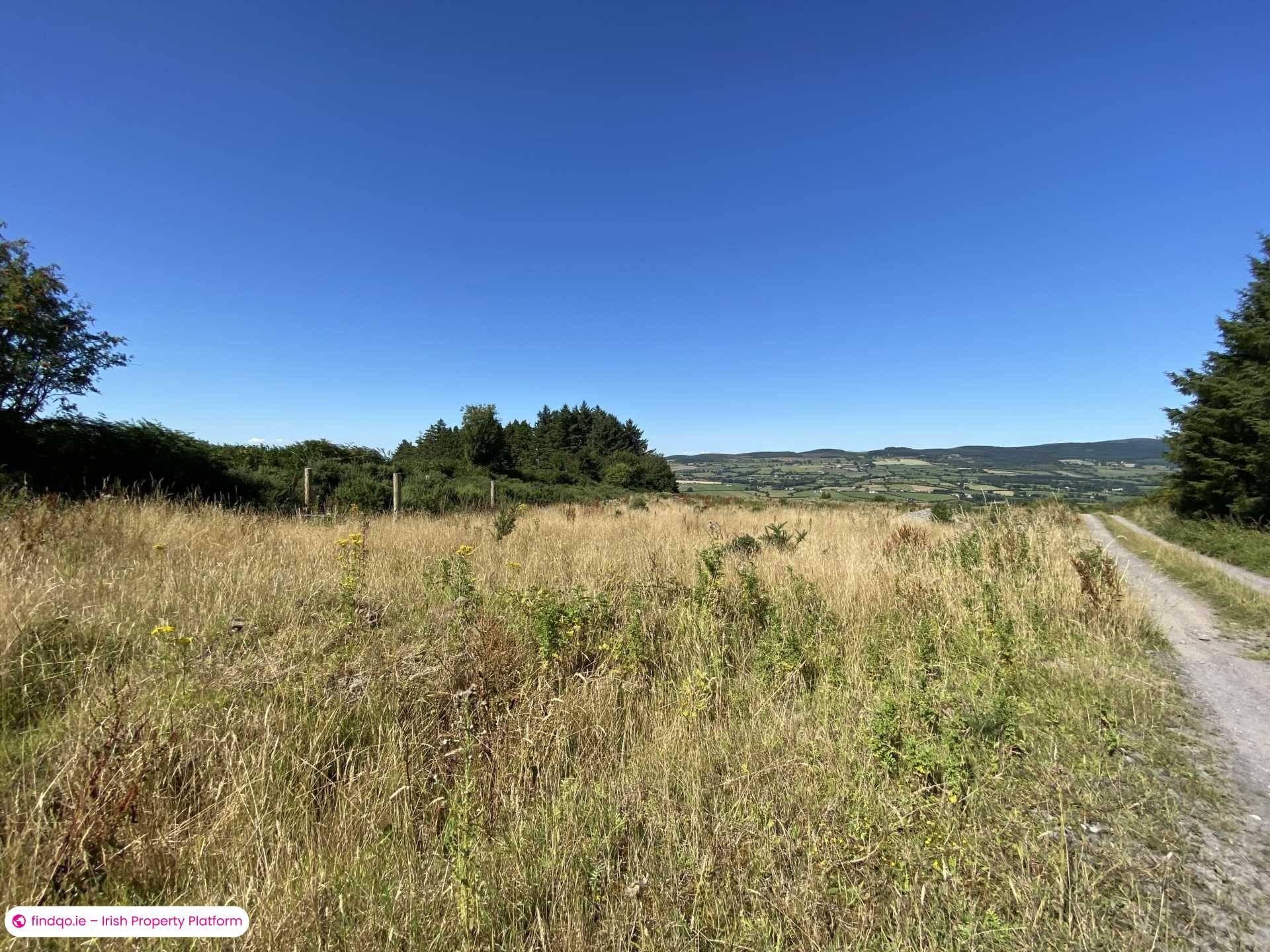 Site for Sale in Newcastle, Down