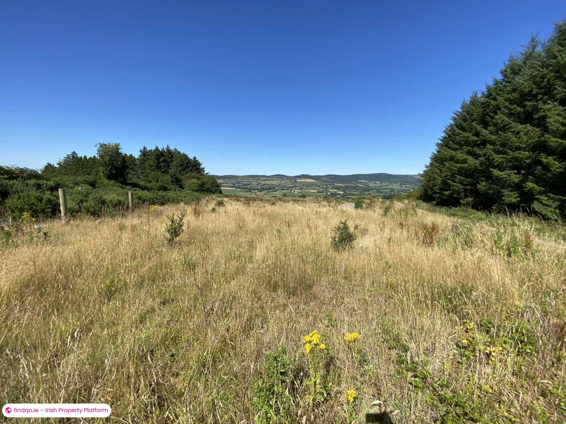 Site for Sale in Newcastle, Down