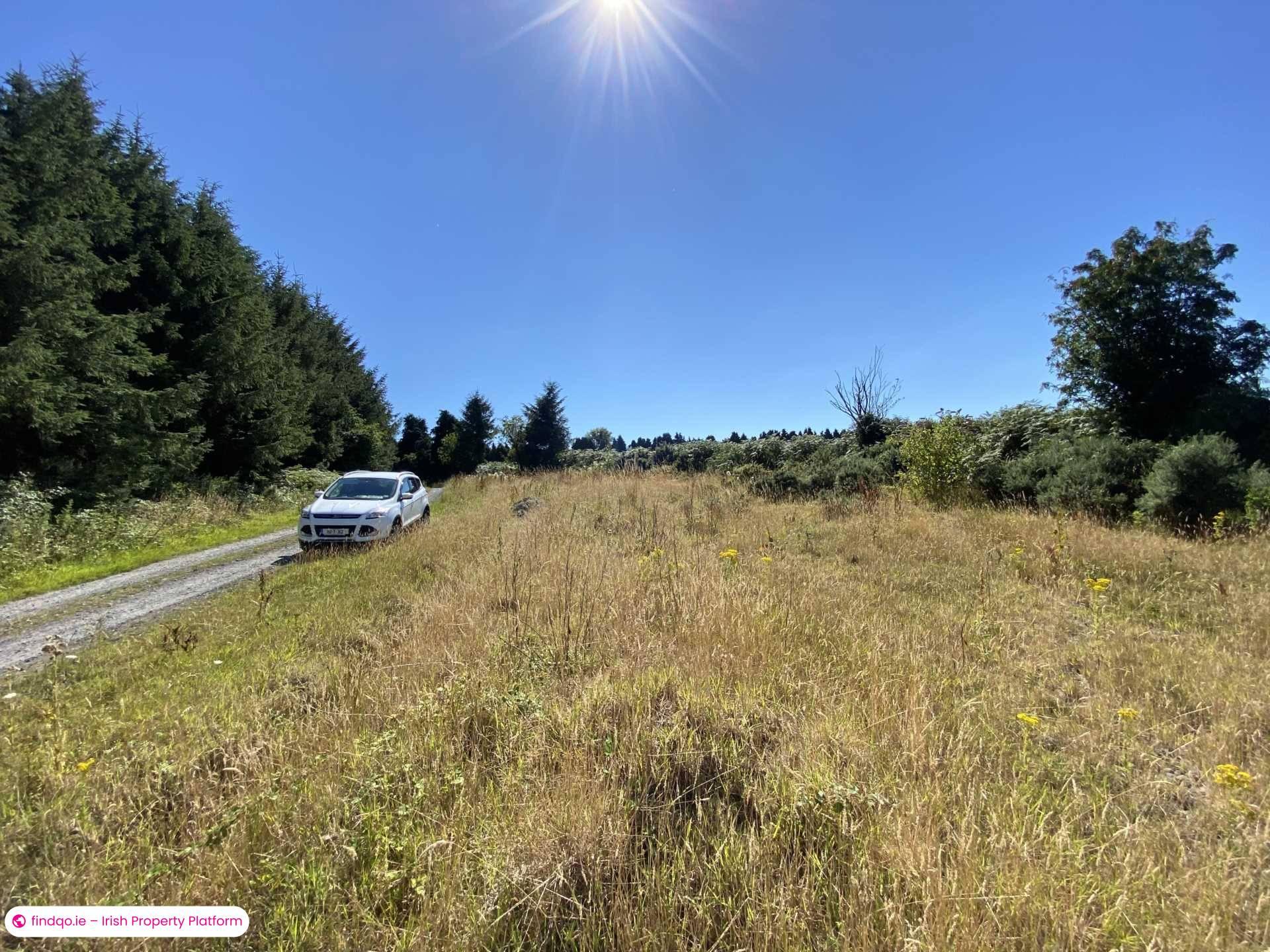 Site for Sale in Newcastle, Down