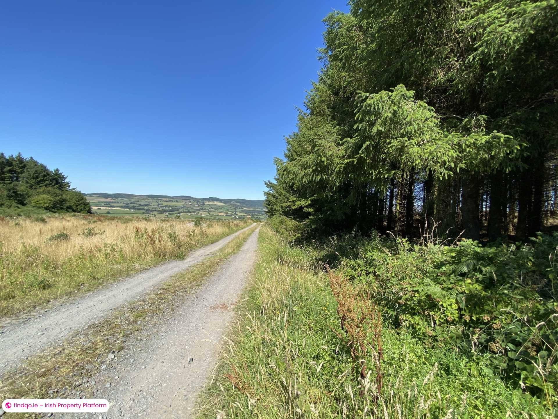 Site for Sale in Newcastle, Down