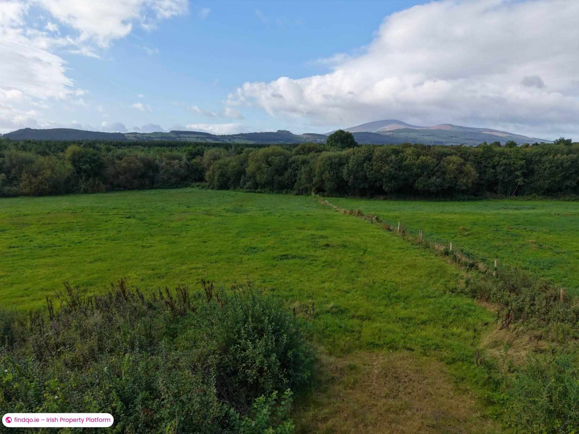 Commercial Site for Sale in Mullinahone, Tipperary