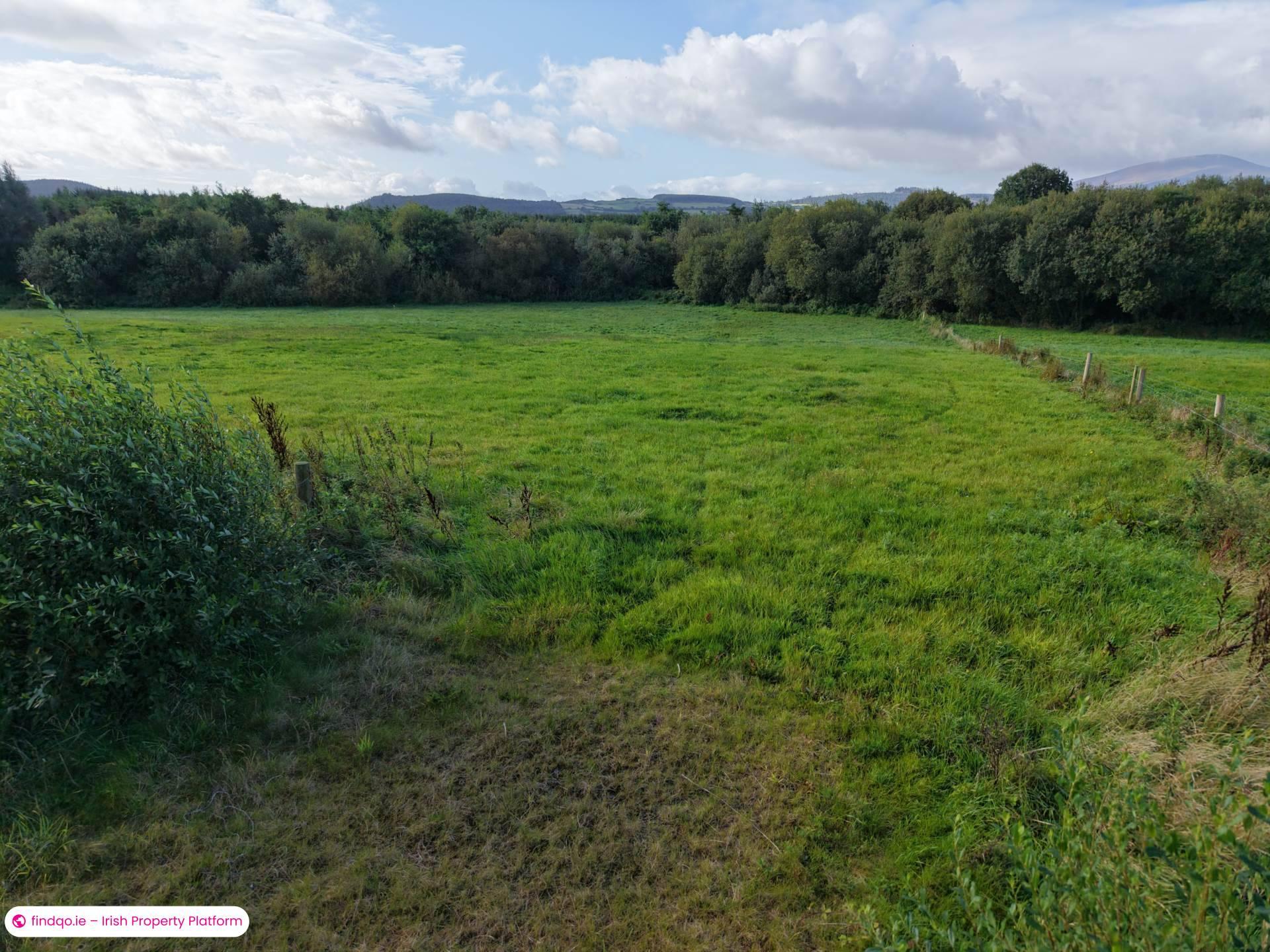 Commercial Site for Sale in Mullinahone, Tipperary