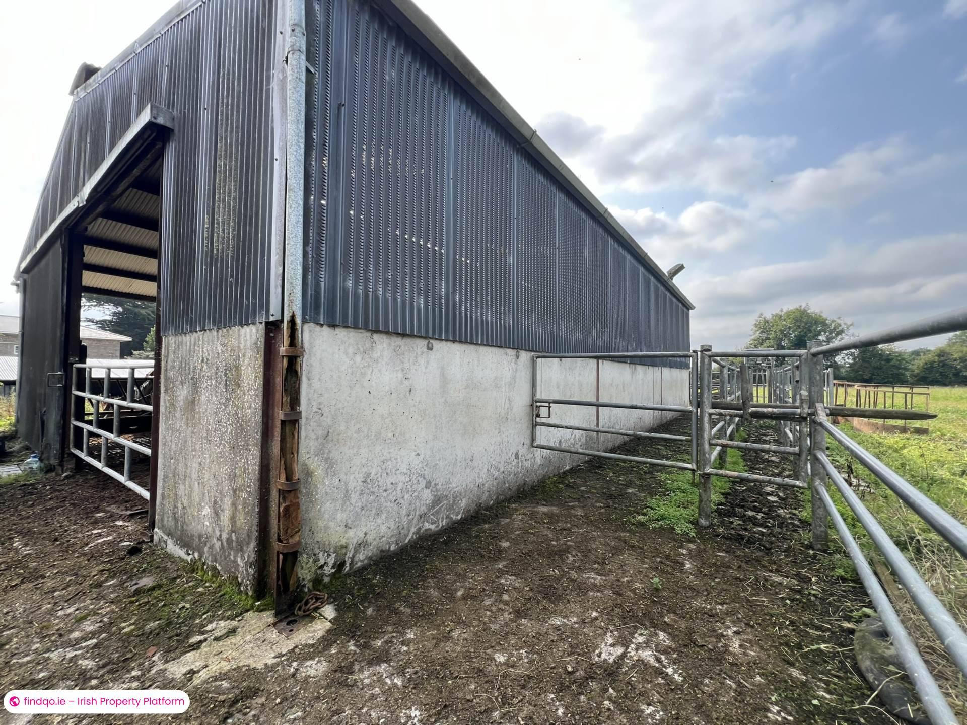 Agricultural Land for Sale in Fethard, Tipperary
