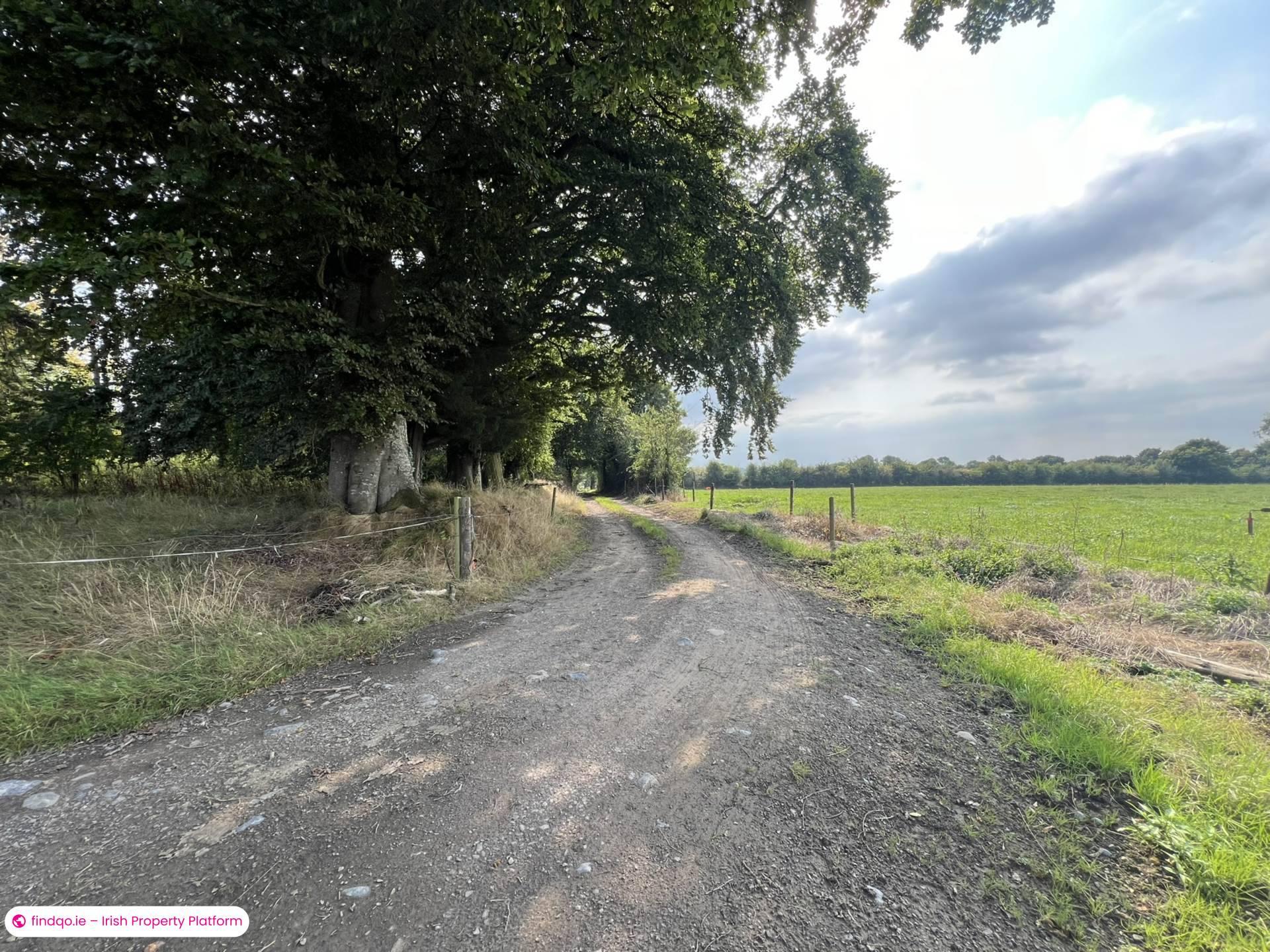 Agricultural Land for Sale in Fethard, Tipperary