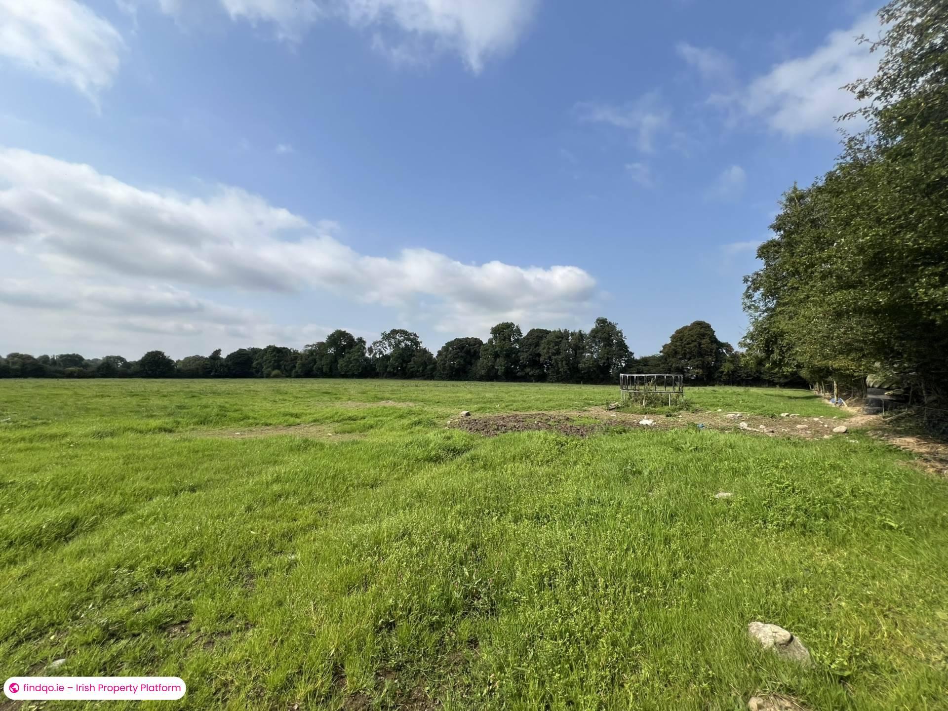 Agricultural Land for Sale in Fethard, Tipperary