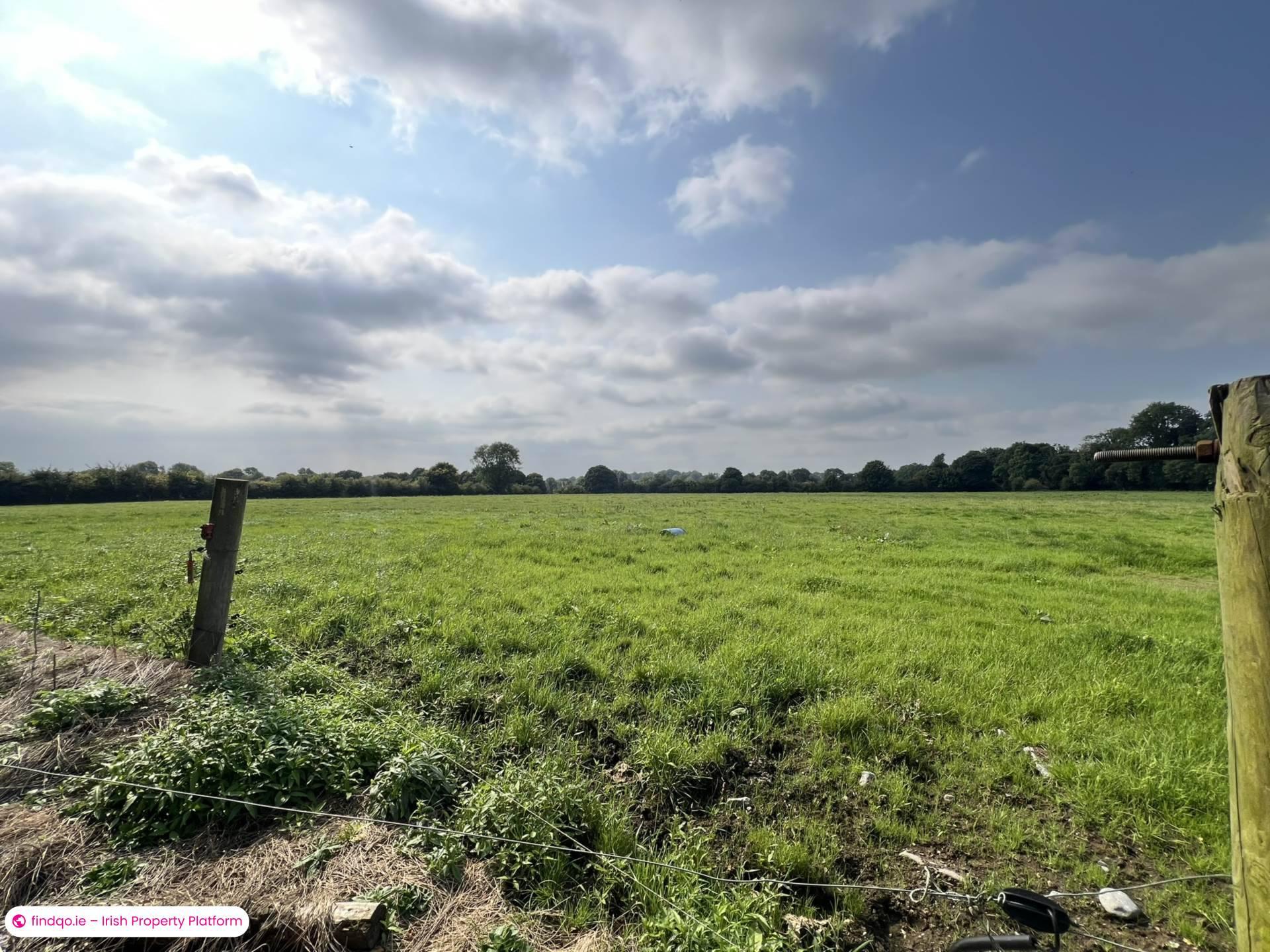 Agricultural Land for Sale in Fethard, Tipperary