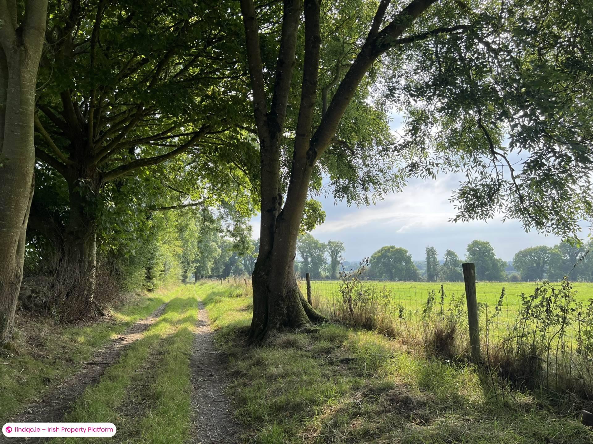 Agricultural Land for Sale in Fethard, Tipperary