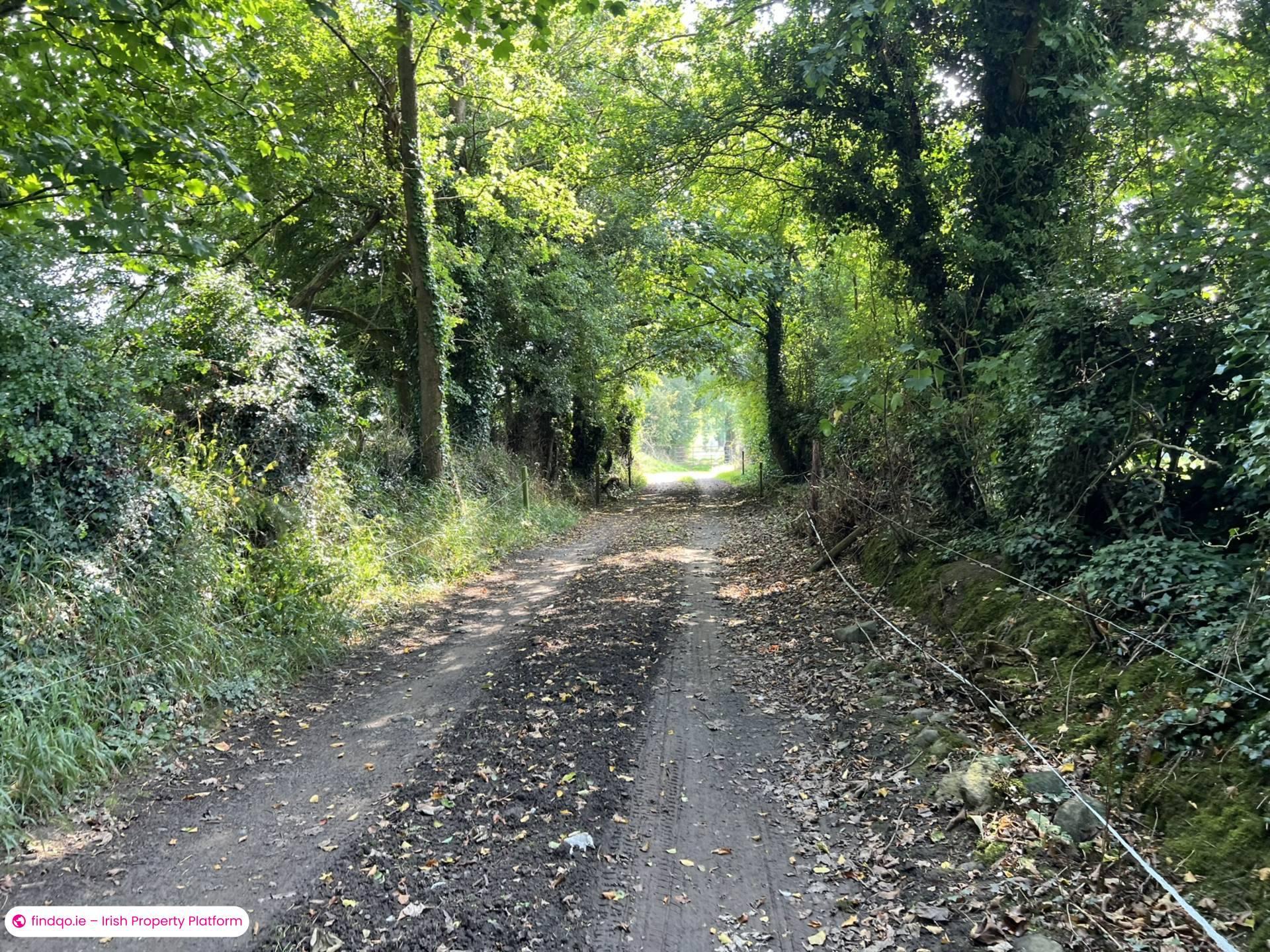 Agricultural Land for Sale in Fethard, Tipperary