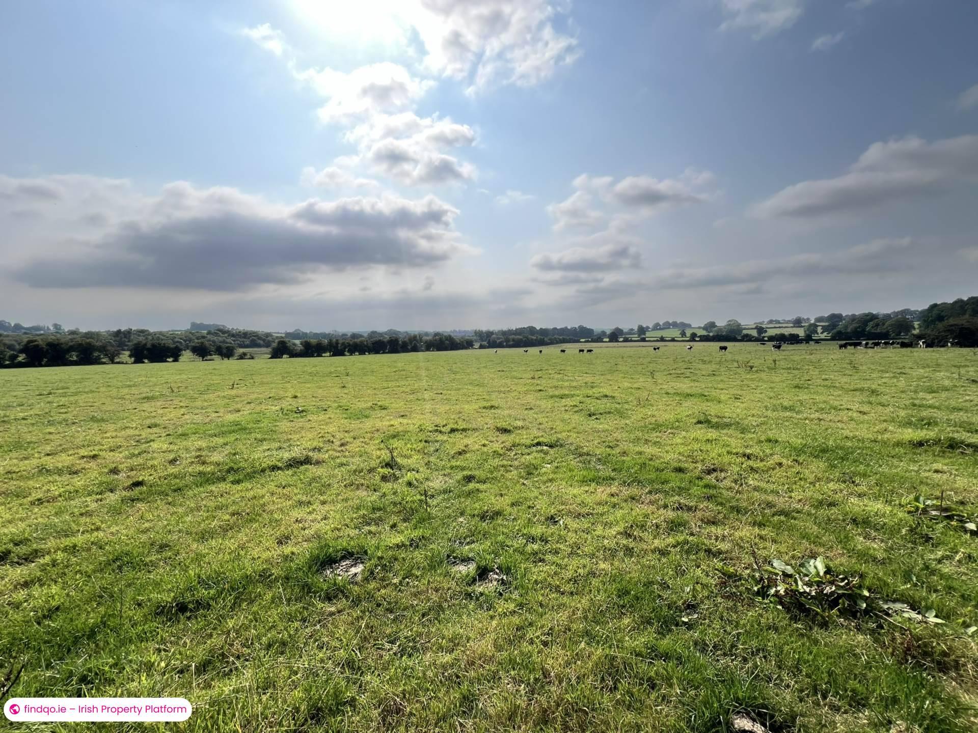 Agricultural Land for Sale in Fethard, Tipperary
