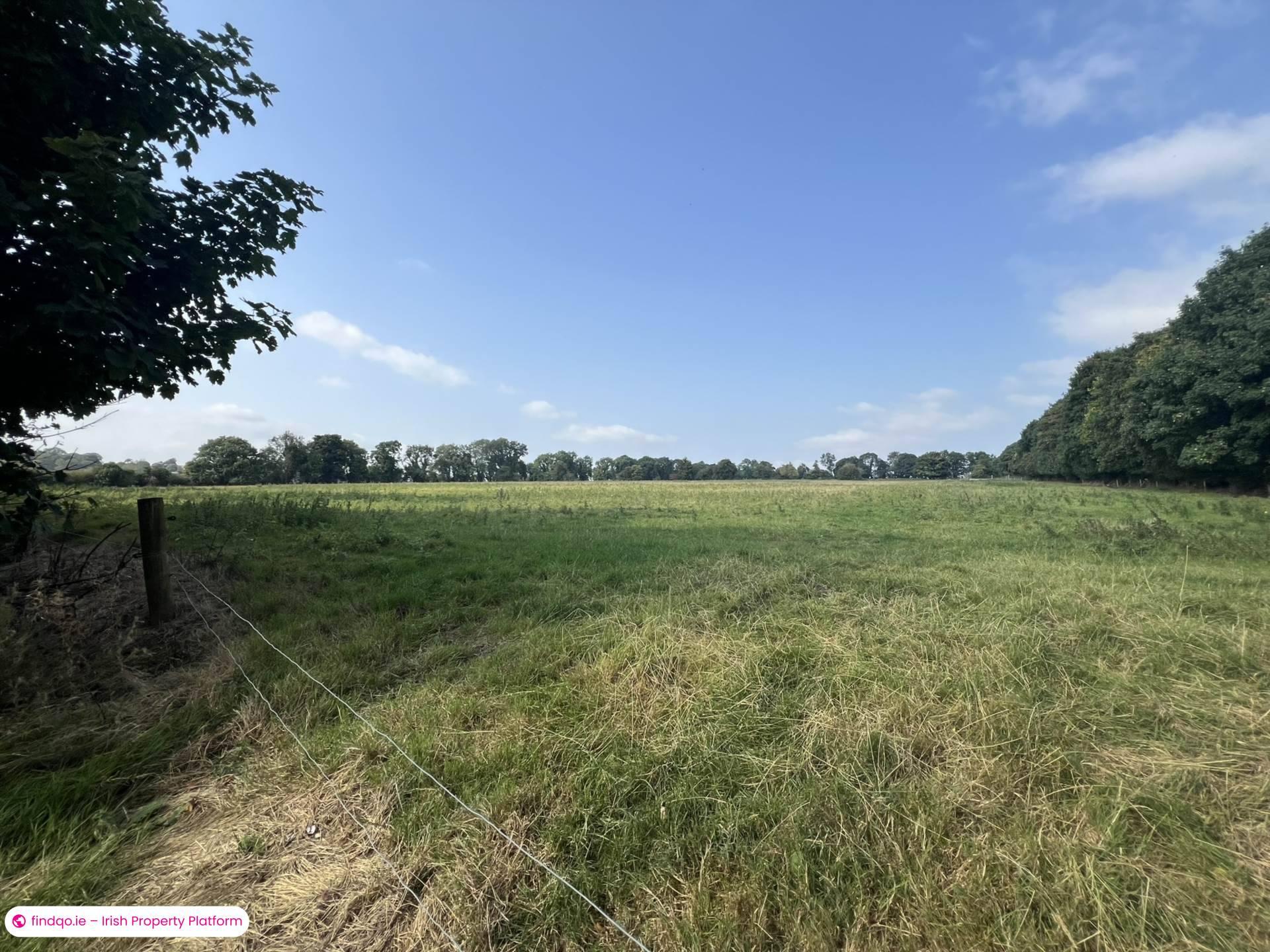 Agricultural Land for Sale in Fethard, Tipperary
