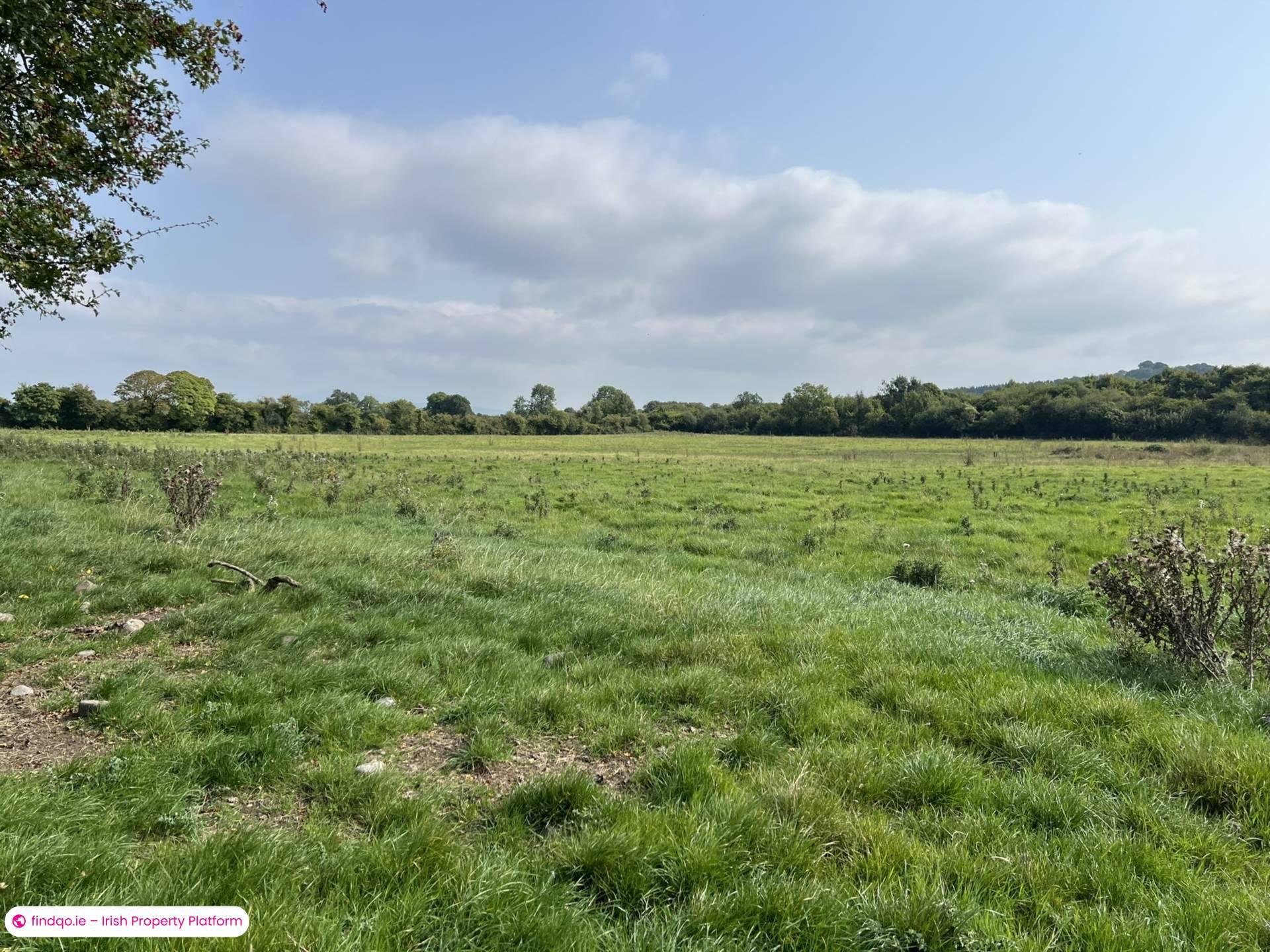 Agricultural Land for Sale in Fethard, Tipperary