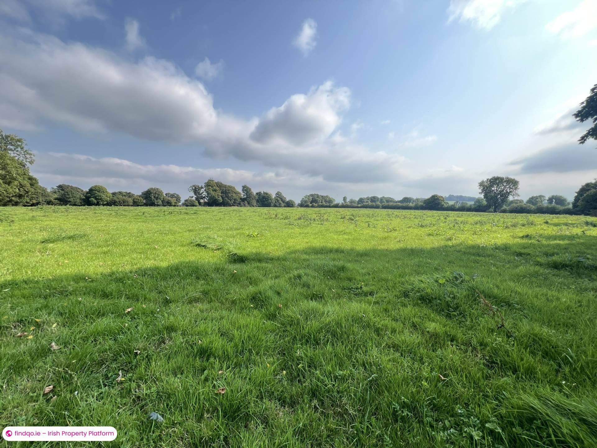Agricultural Land for Sale in Fethard, Tipperary