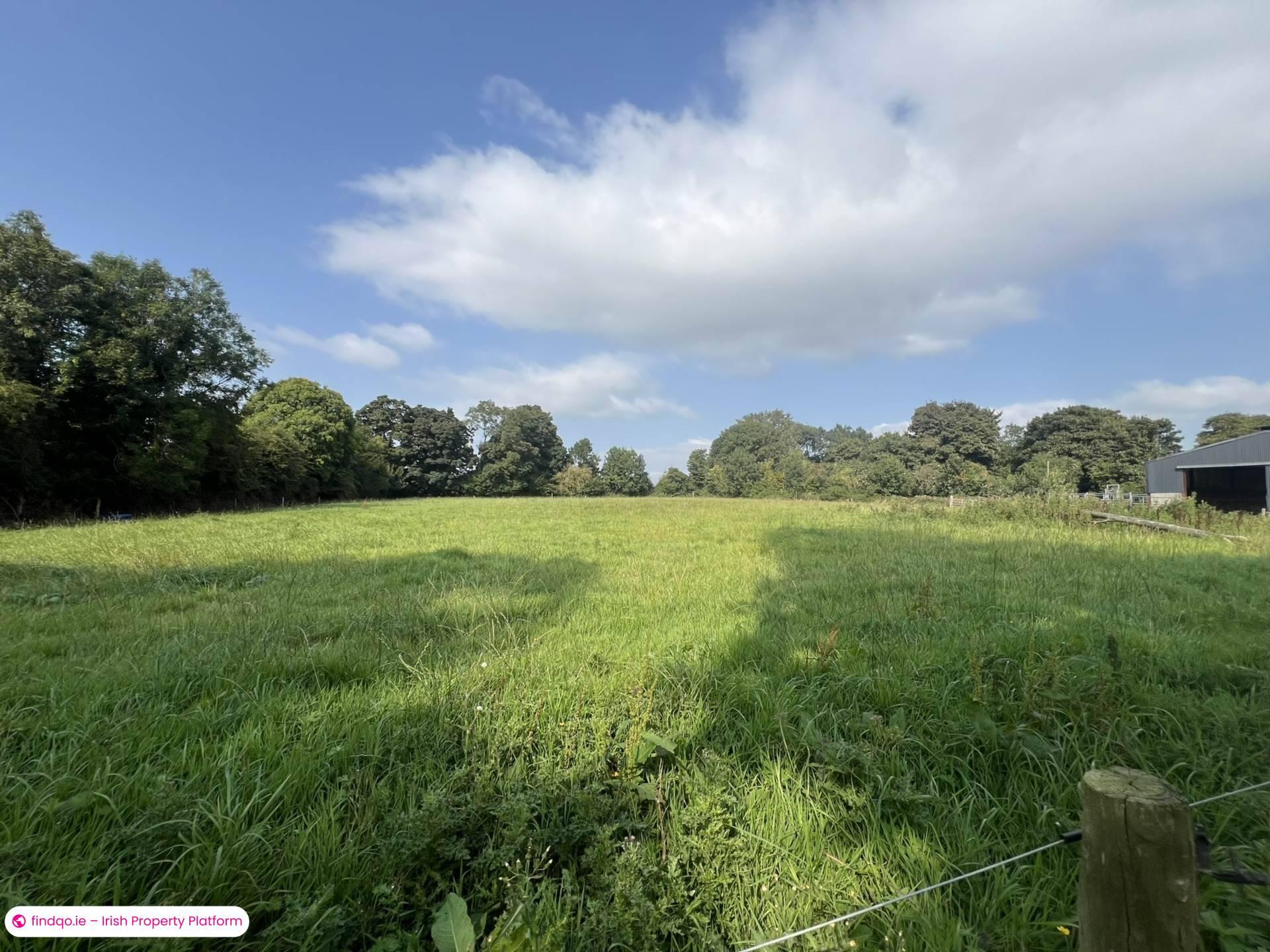 Agricultural Land for Sale in Fethard, Tipperary