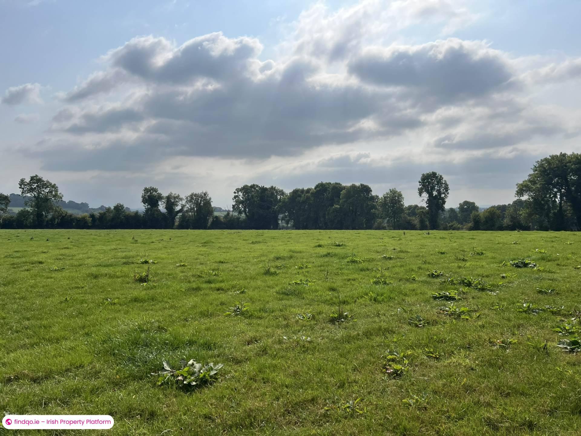 Agricultural Land for Sale in Fethard, Tipperary