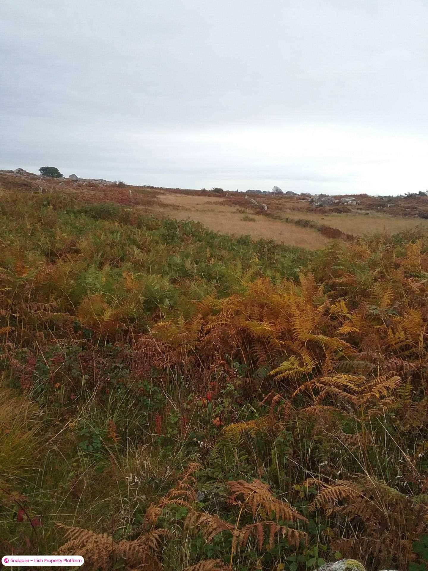 Commercial Site for Sale in Ballywilliam, Spiddal, Co. Galway.