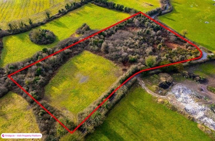 Agricultural Land for Sale in Broughal, Offaly