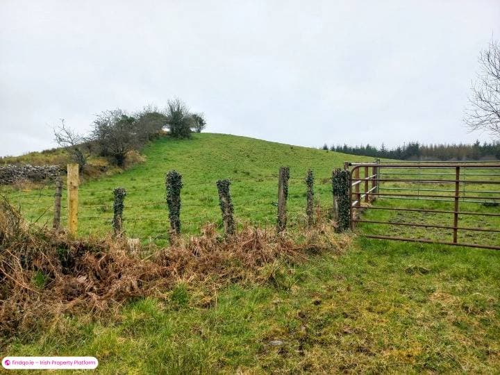 Agricultural Land for Sale in Kilkelly, Mayo