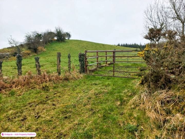 Agricultural Land for Sale in Kilkelly, Mayo