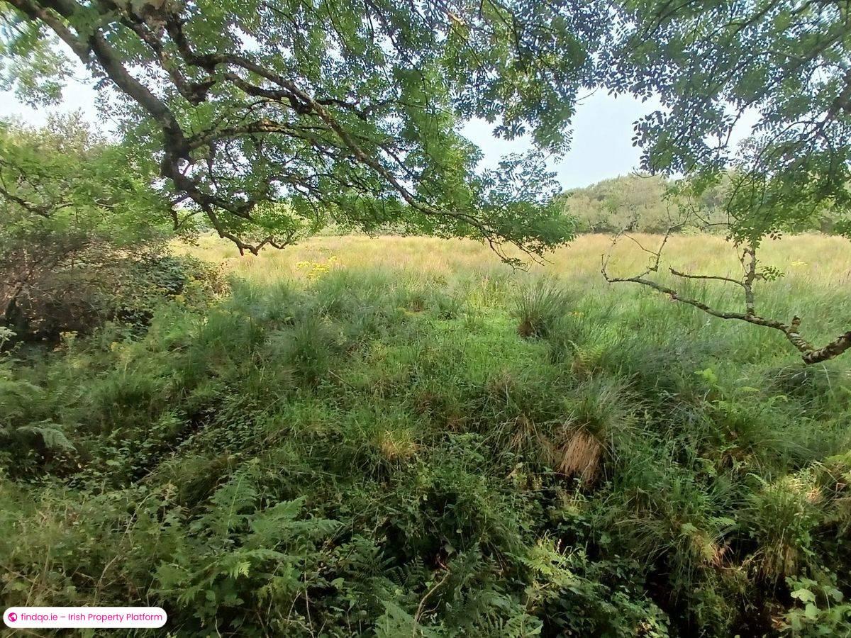 Detached house for Sale in Ballinskelligs, Kerry