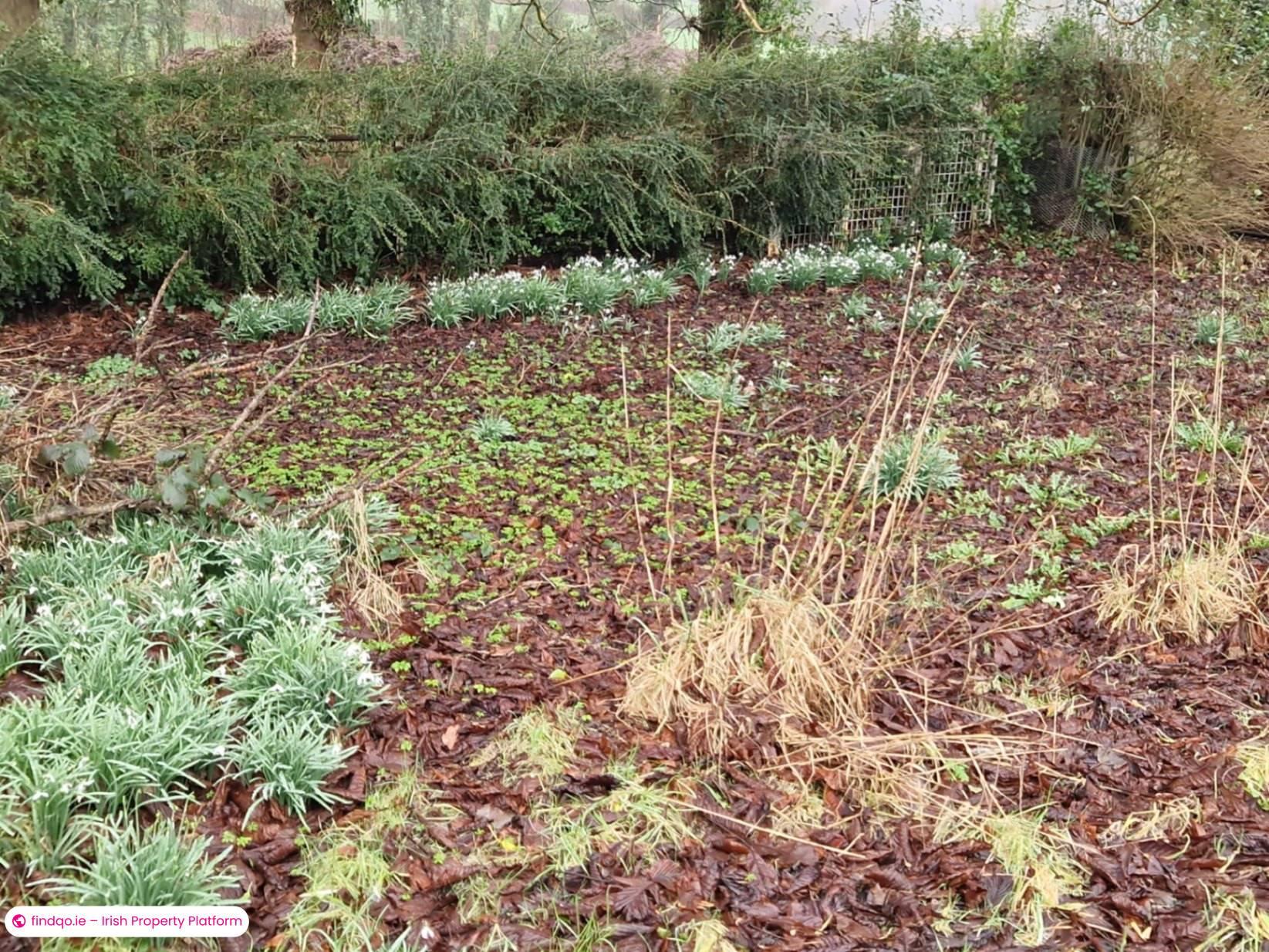 Detached house for Sale in Carrickmacross, Monaghan