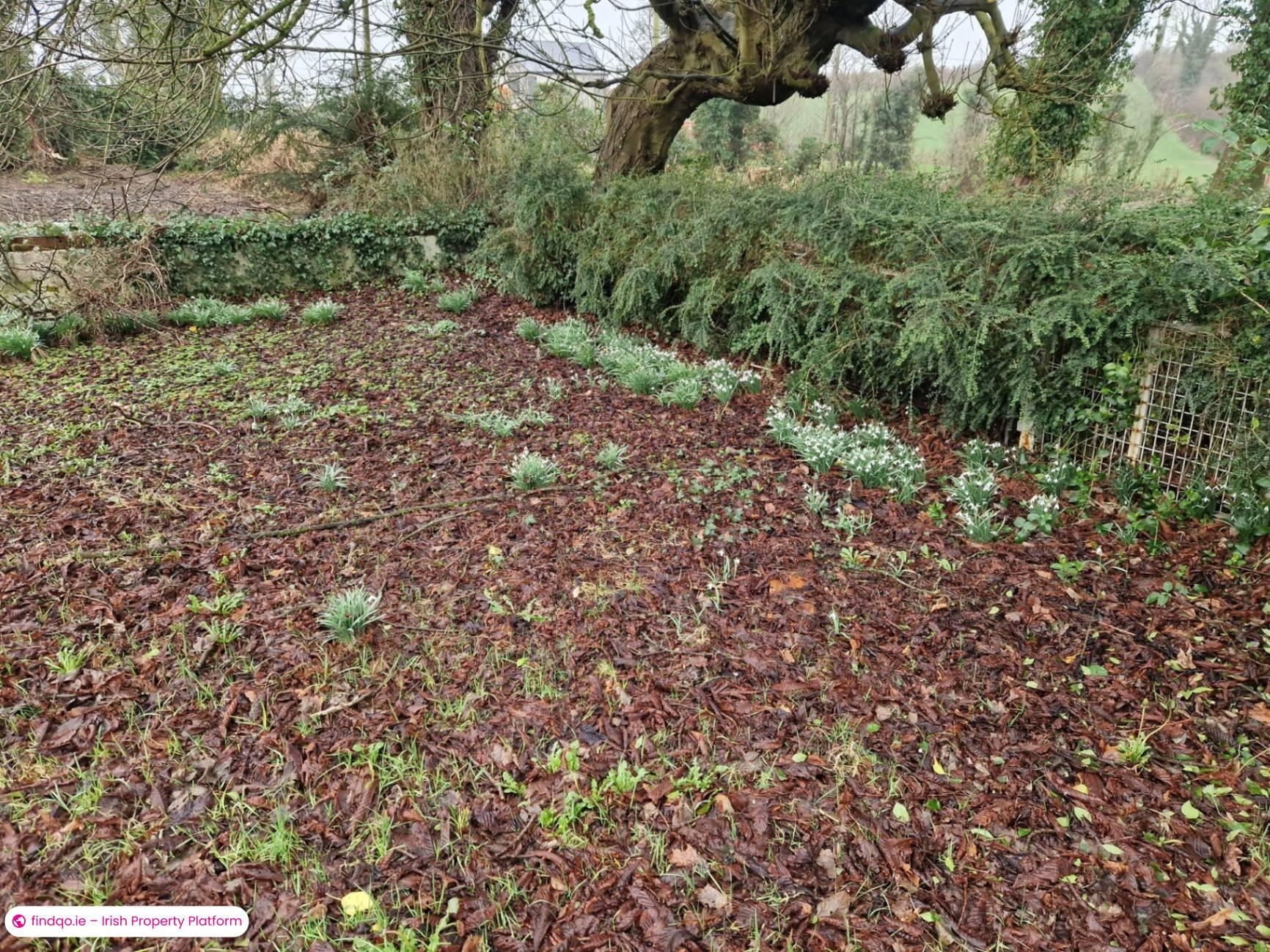 Detached house for Sale in Carrickmacross, Monaghan