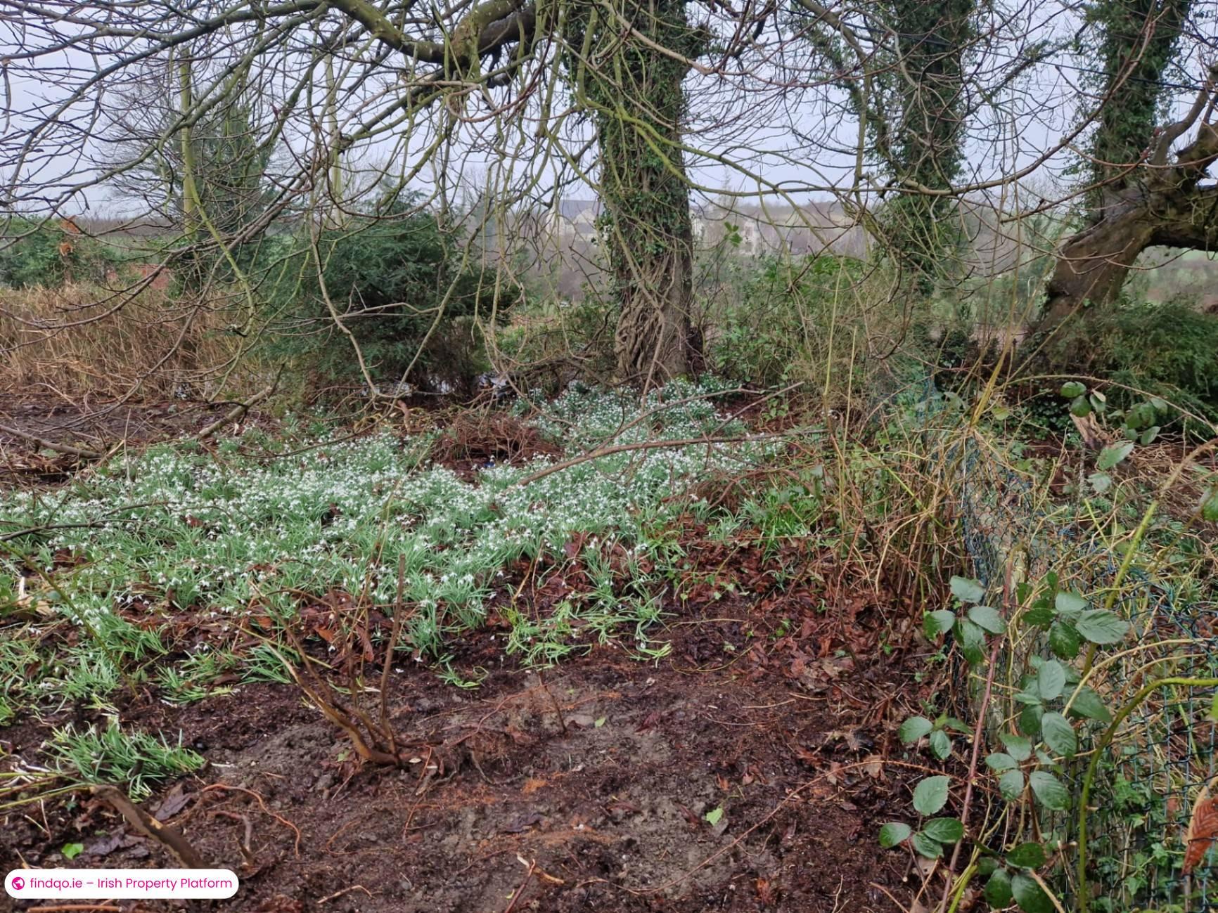 Detached house for Sale in Carrickmacross, Monaghan