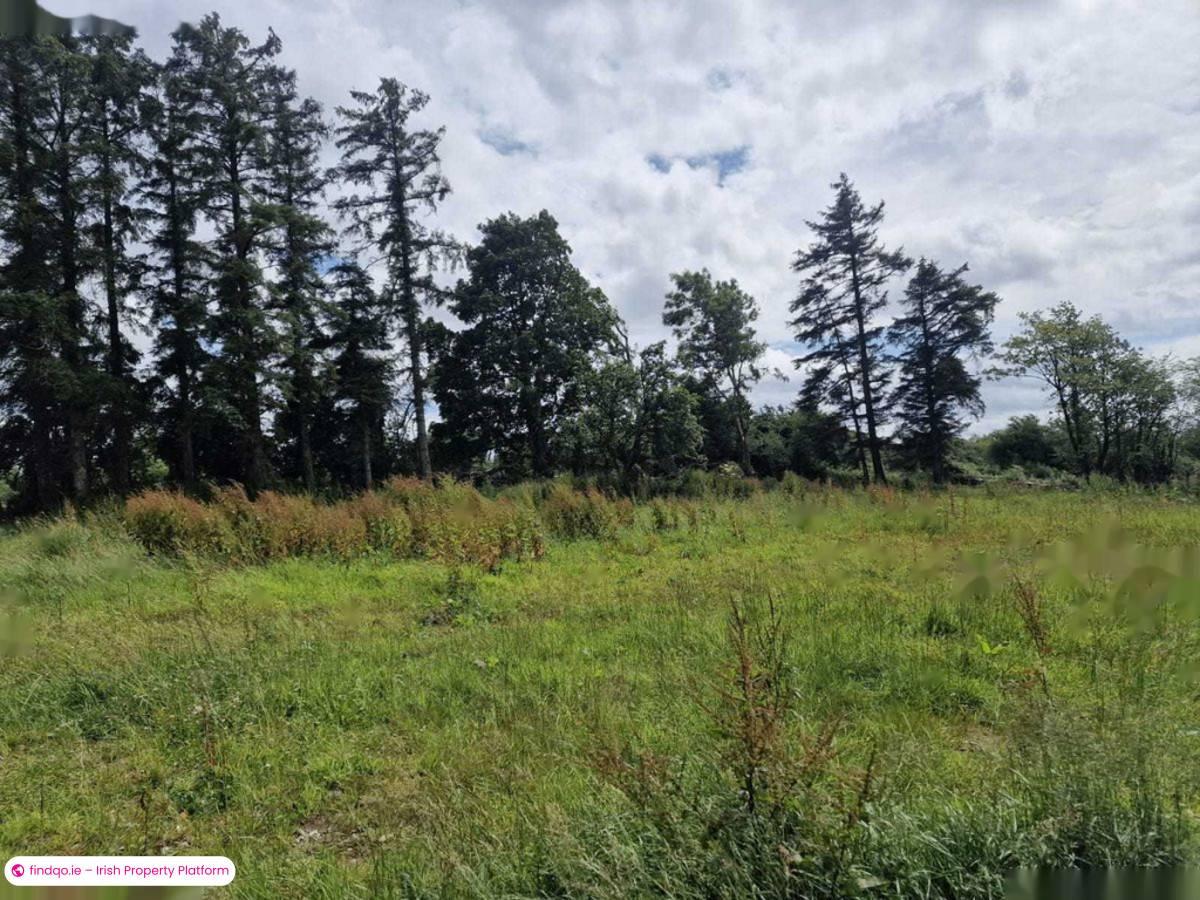 Detached house for Sale in Ballinlough, Roscommon