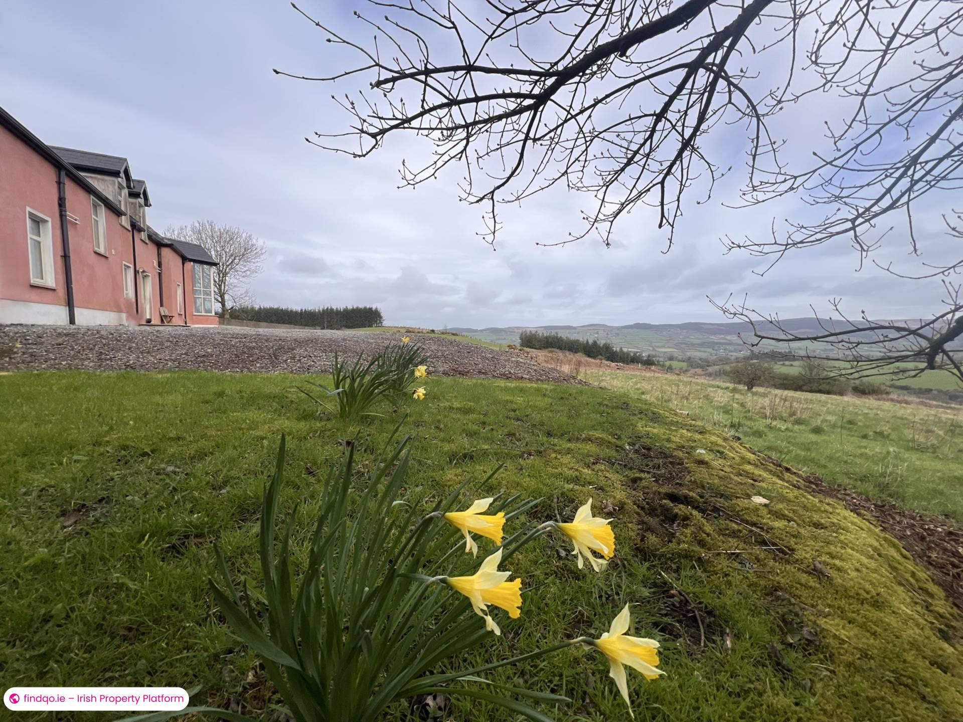 Detached house for Sale in Newcastle, Down