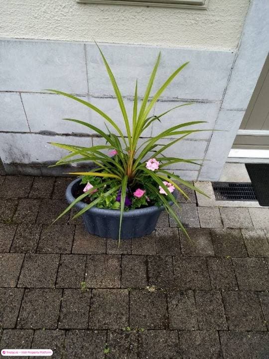 Terraced house for Sale in Ballyfarnon, Roscommon