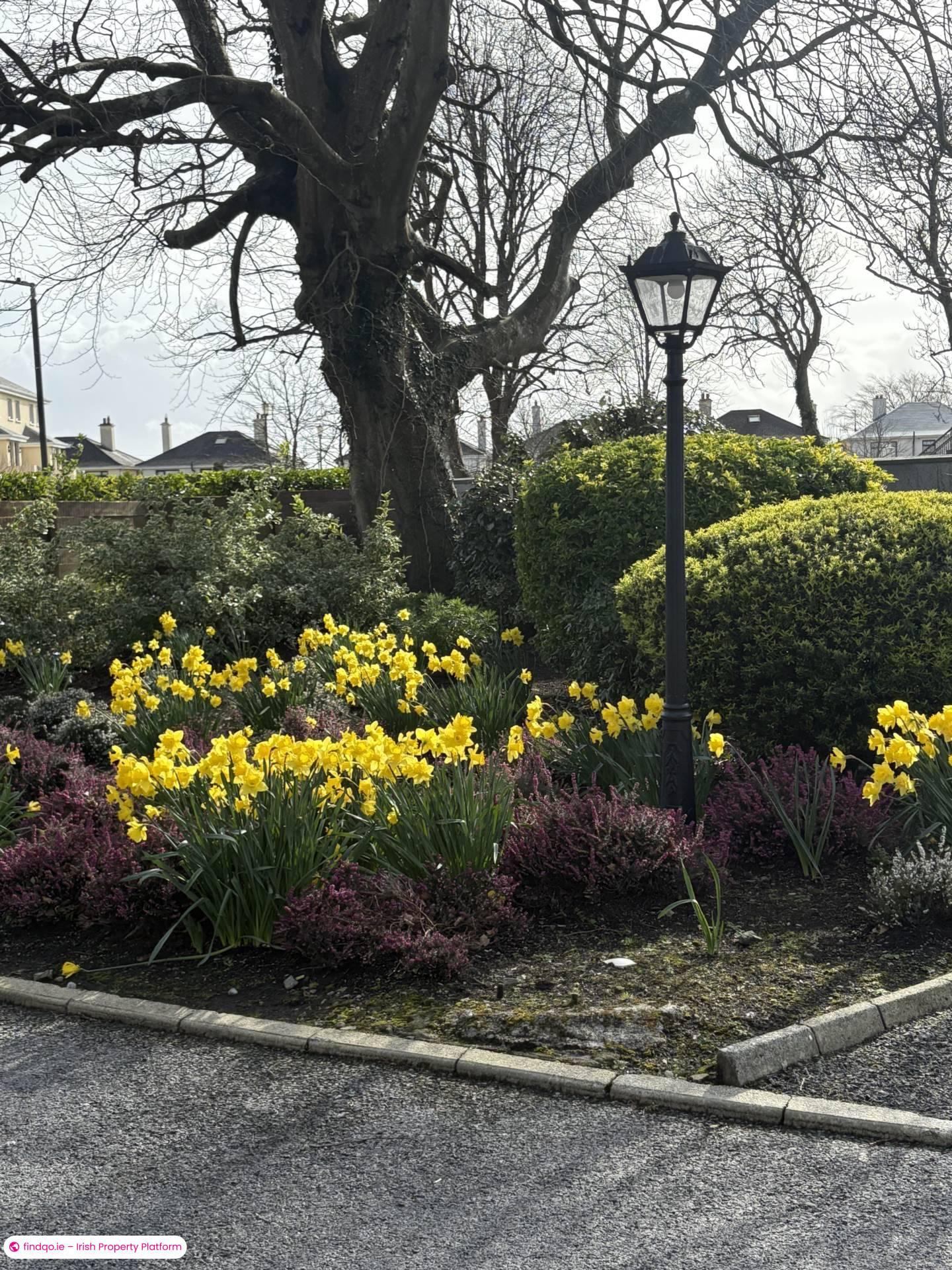 2 Bedroom Apartment for Rent in 2 Crescent Green, The Crescent, Galway