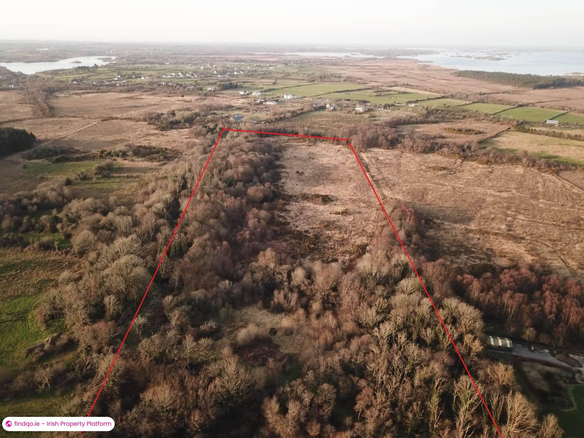 Unfurnished Property for Rent in Woodstock, Bushypark, Galway