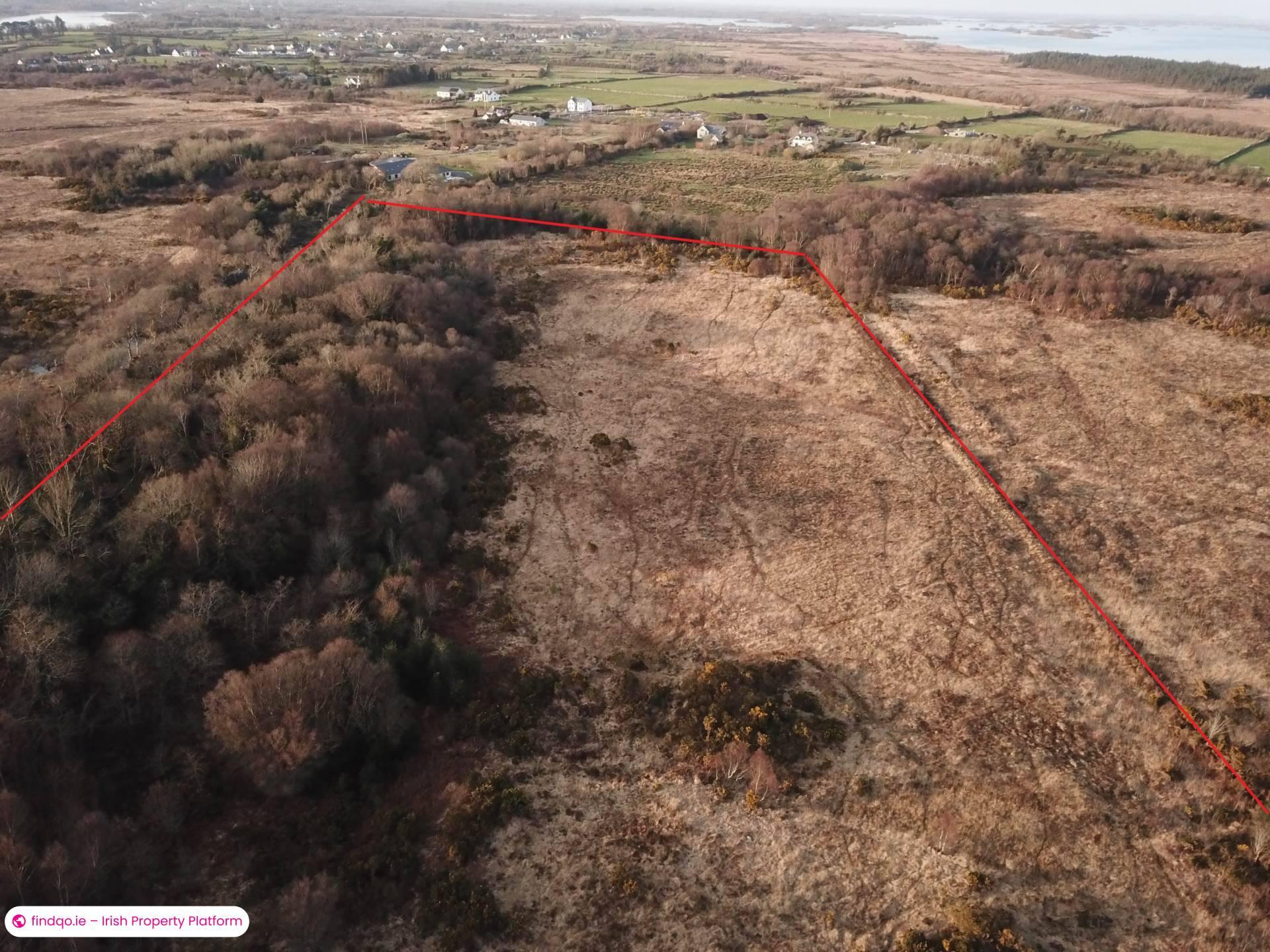 Unfurnished Property for Rent in Woodstock, Bushypark, Galway