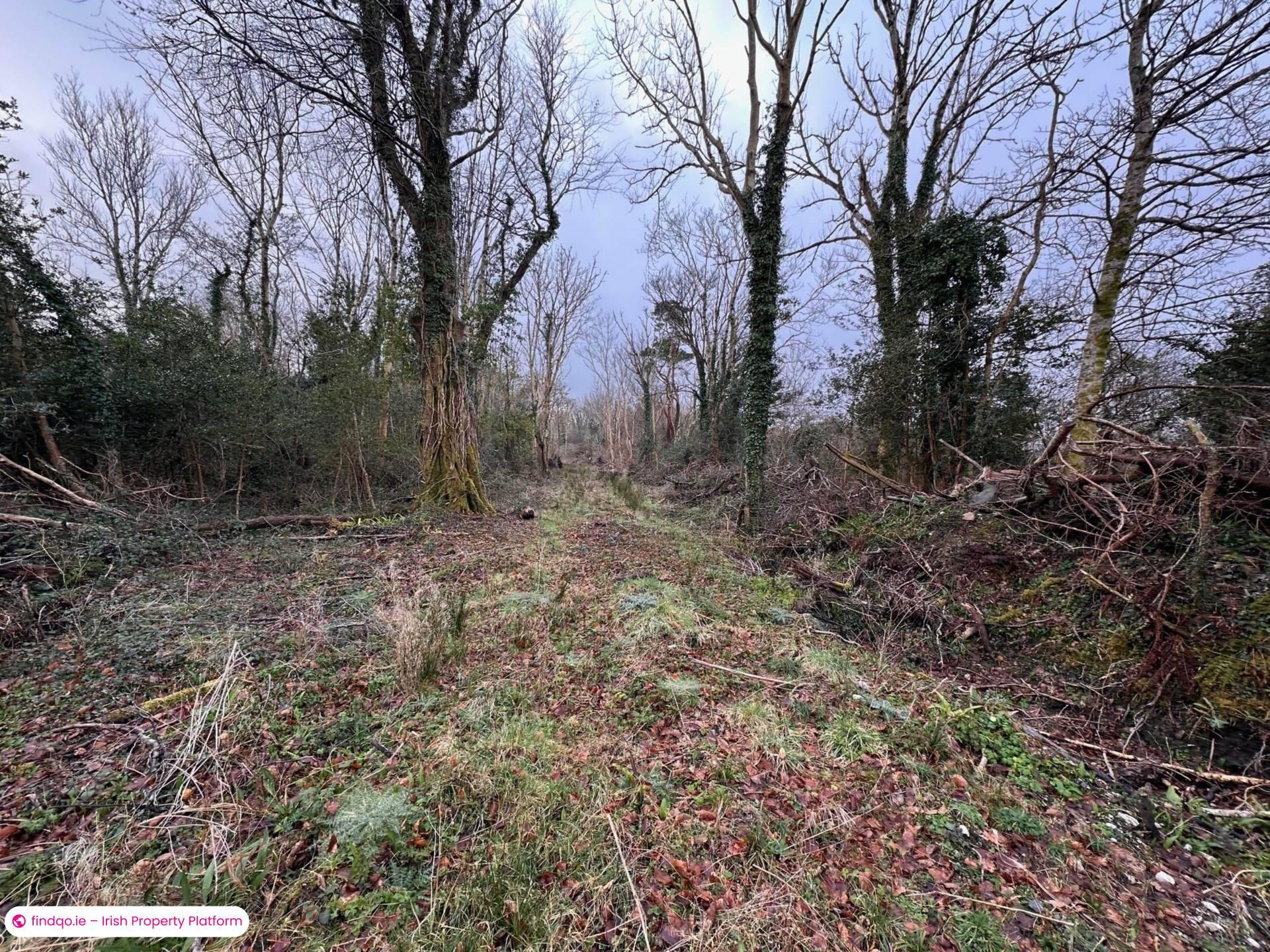 Unfurnished Property for Rent in Woodstock, Bushypark, Galway