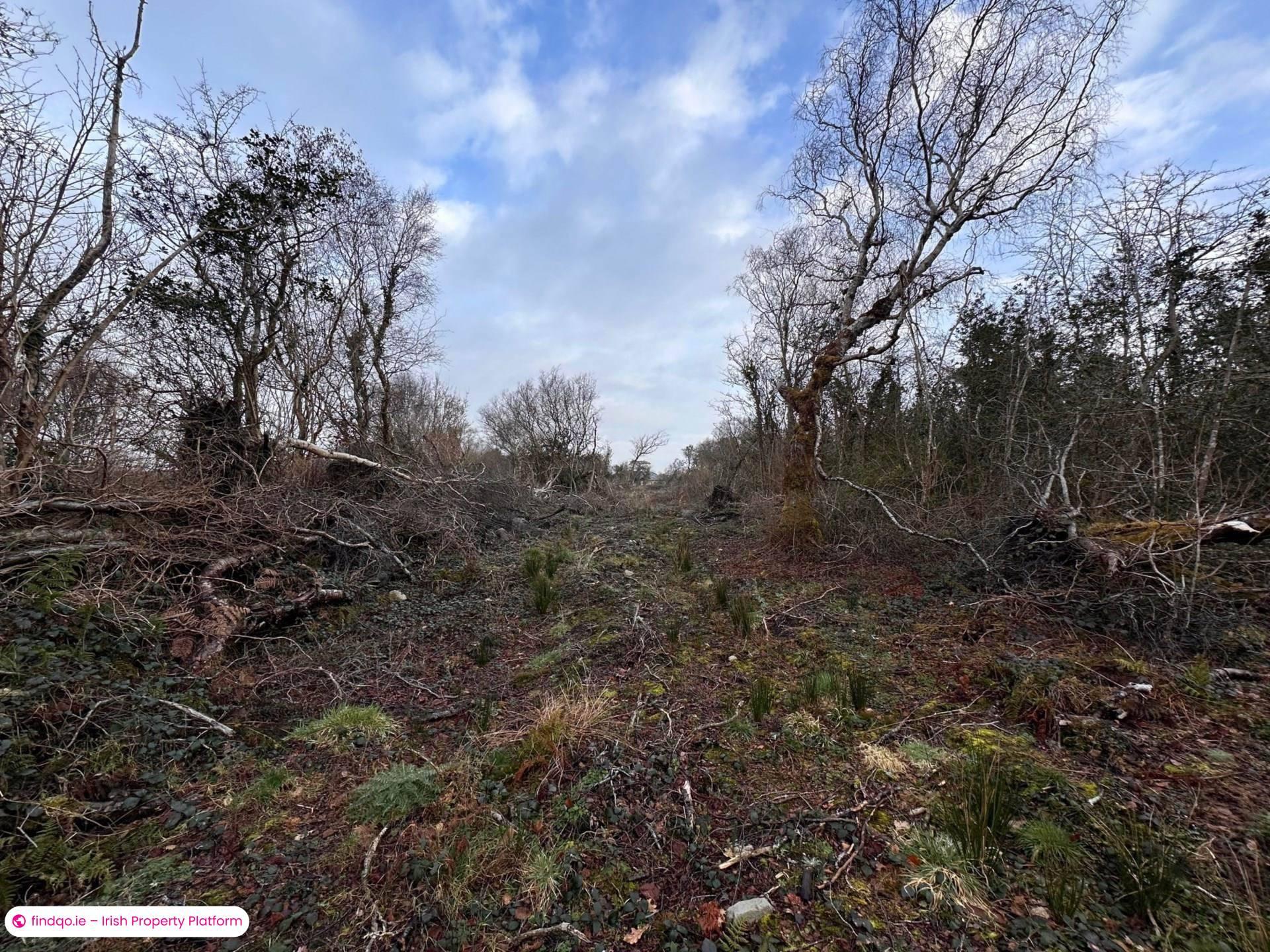 Unfurnished Property for Rent in Woodstock, Bushypark, Galway