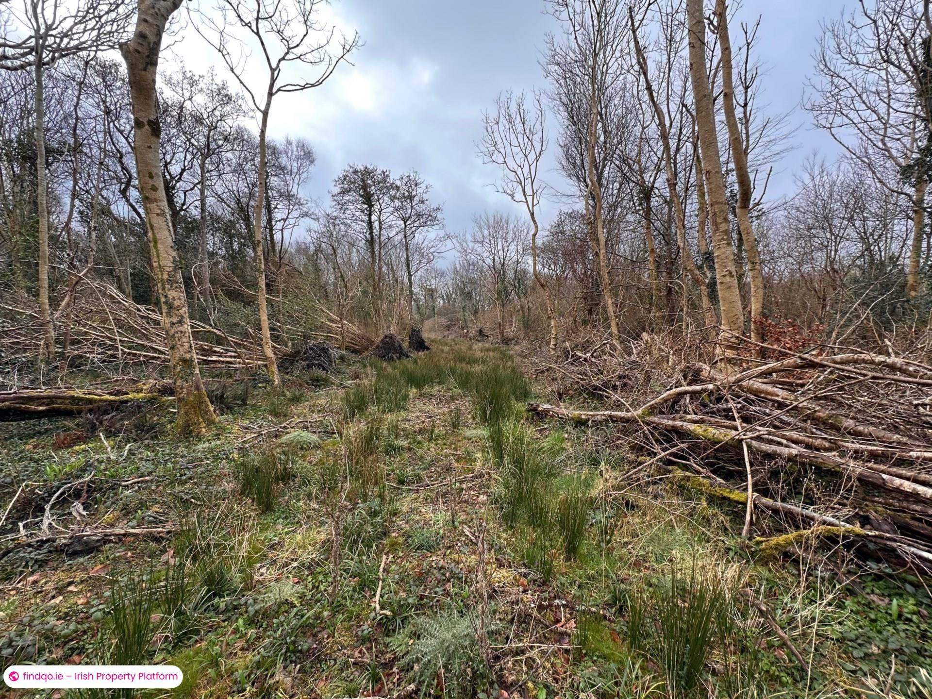 Unfurnished Property for Rent in Woodstock, Bushypark, Galway