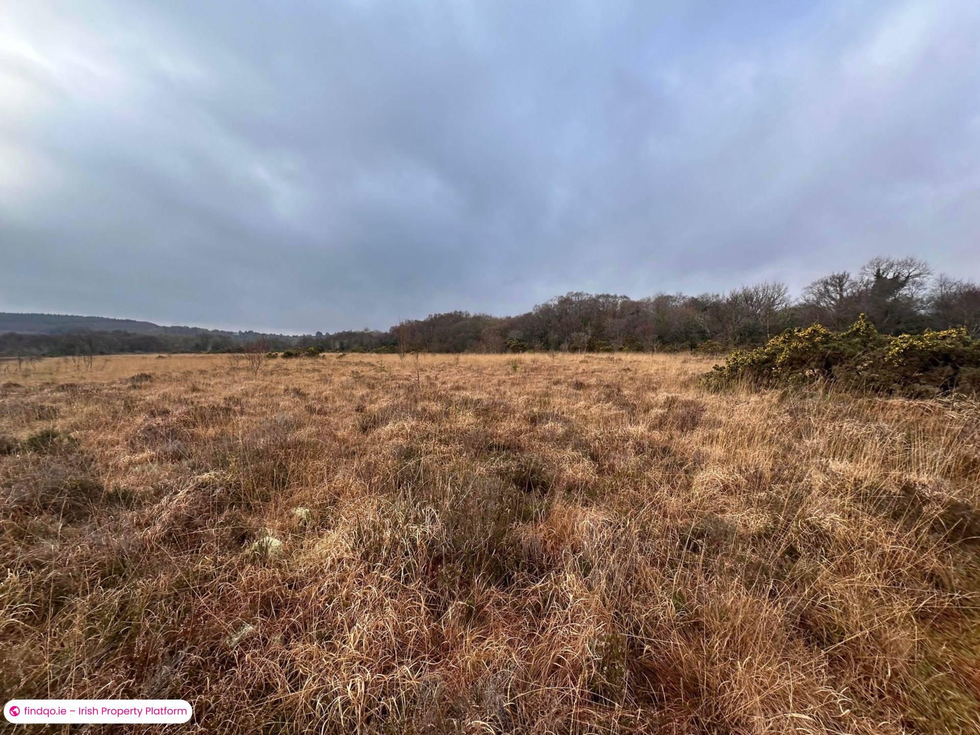 Unfurnished Property for Rent in Woodstock, Bushypark, Galway