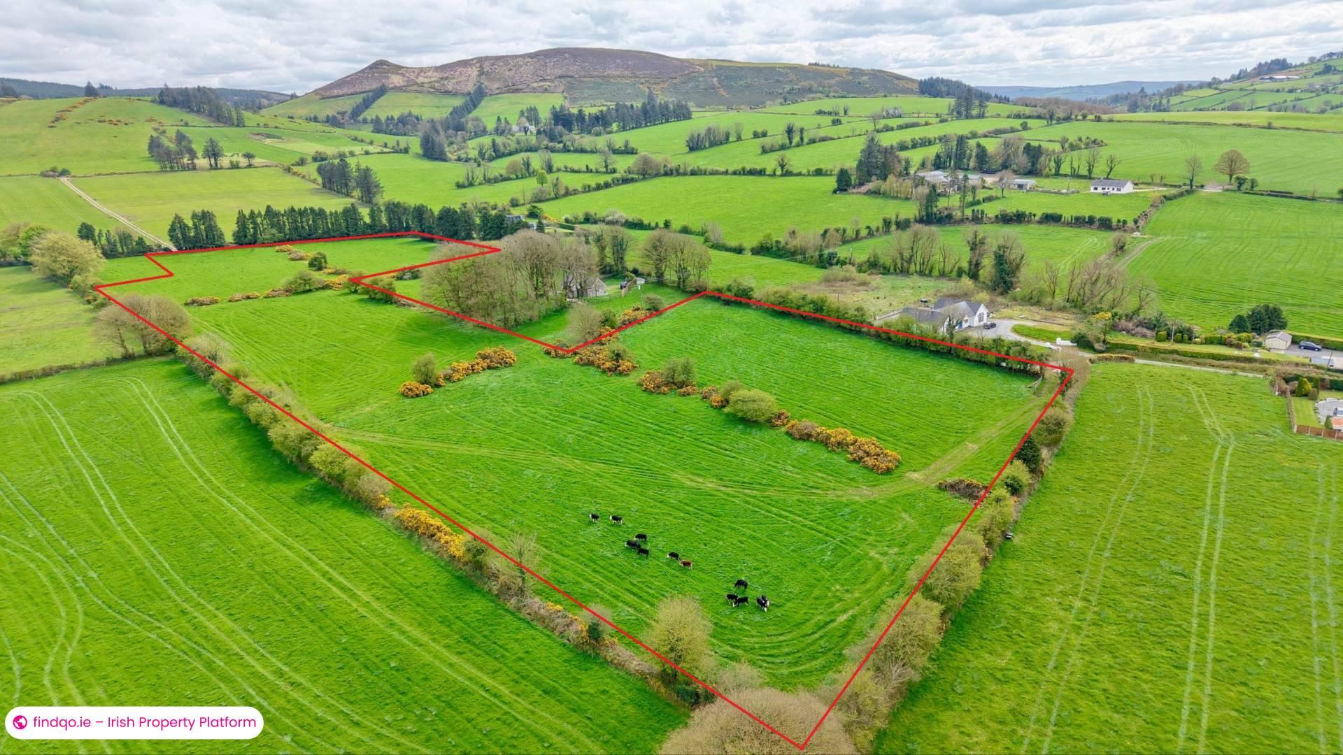 Agricultural Land for Sale in Kilmallock, Limerick
