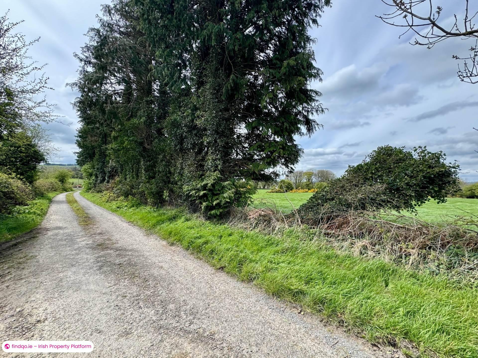 Agricultural Land for Sale in Kilmallock, Limerick