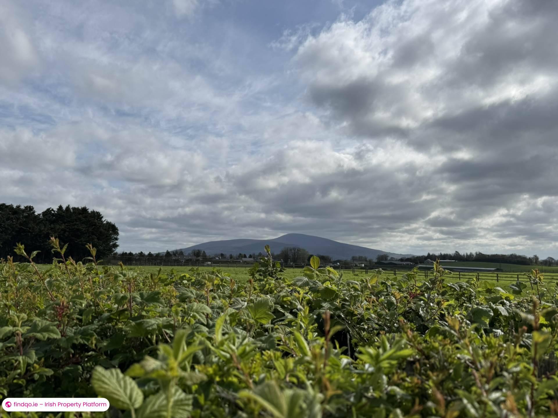 Bungalow for Sale in Clonmel, Tipperary