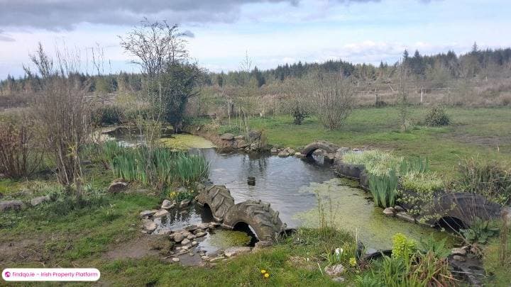 Detached house for Sale in Castlerea, Roscommon