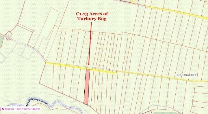 Agricultural Land for Sale in Lisacul, Roscommon