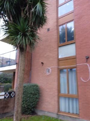 Seller profile photo